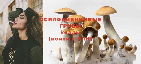 гидропоника Нягань