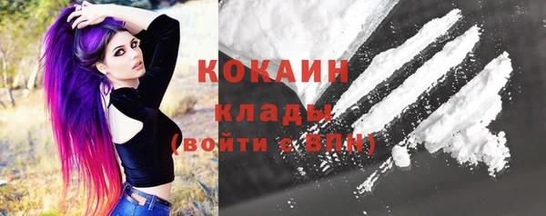 дмт Дмитровск