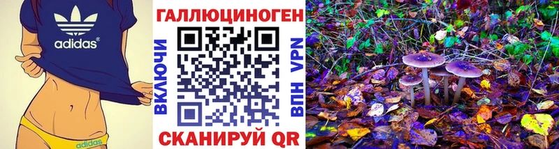 Псилоцибиновые грибы мицелий  OMG вход  Острогожск 