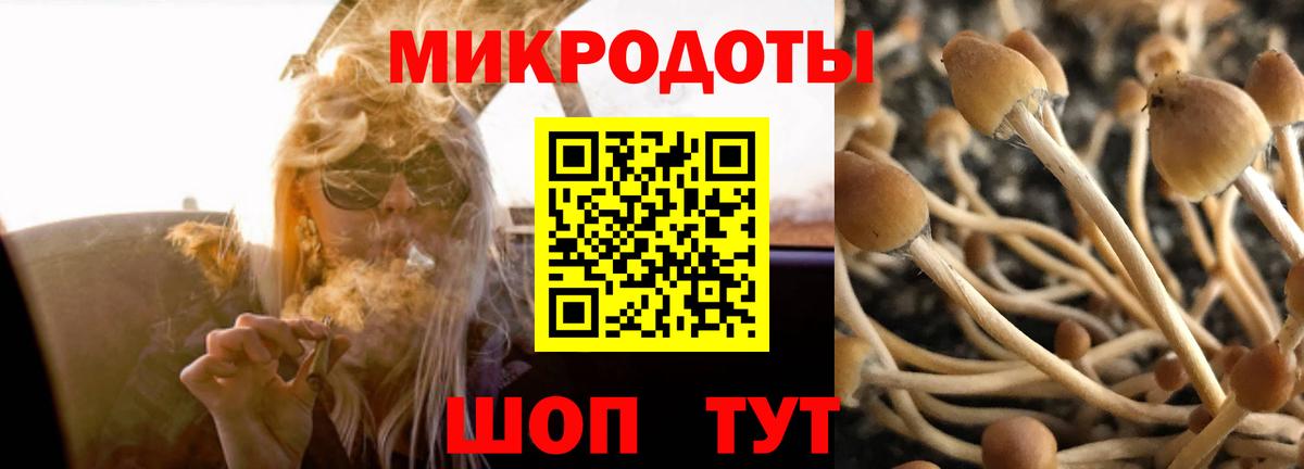 Галлюциногенные грибы мухоморы  Вход с VPN  Острогожск  Галлюциногенные грибы Psilocybe 